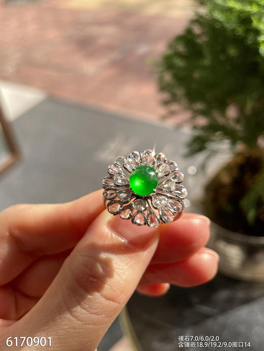 6170901，蛋面戒指。具体价格微信咨询 商品图0