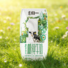 归一有机纯牛奶200mL*12盒*2箱100%有机生牛乳礼盒整箱装 商品缩略图4