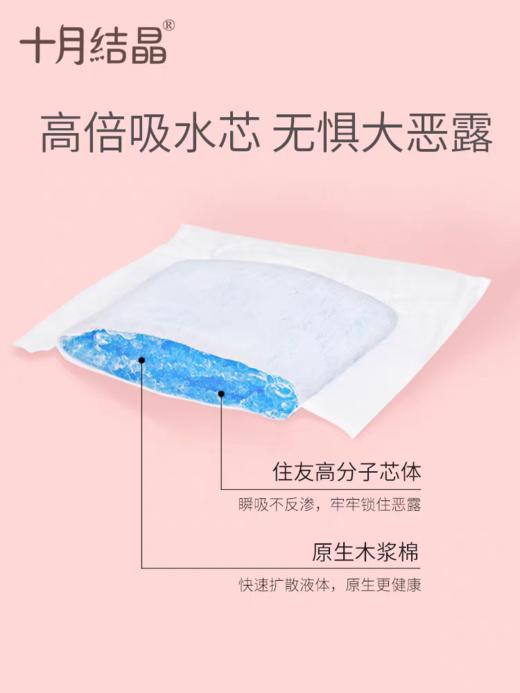 十月结晶 产裖期专用卫生巾xL号8片装 商品图2