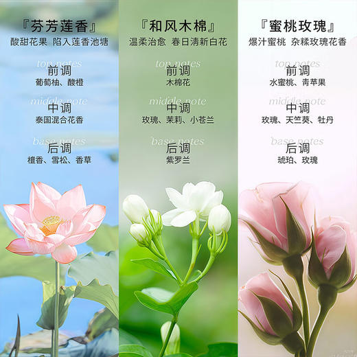芝芙莲（GIFFARINE）香氛洗护套盒 商品图4
