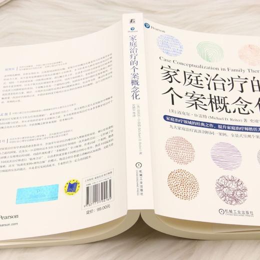 家庭治疗的个案概念化 商品图3