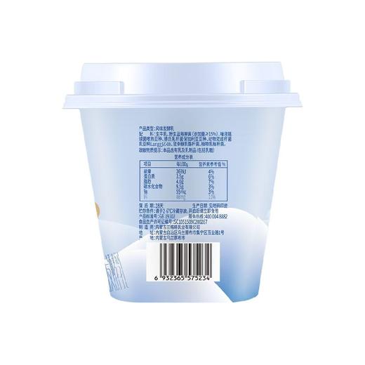 兰格格300g野生蓝莓草原酸奶 商品图2