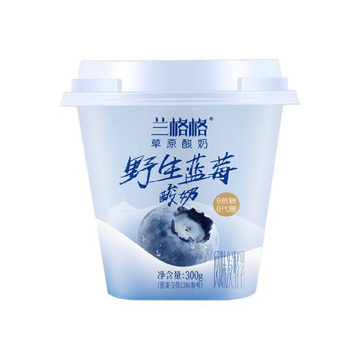 兰格格300g野生蓝莓草原酸奶 商品图1