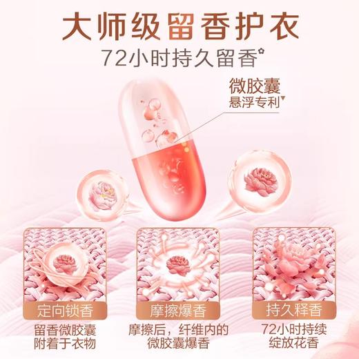 立白大师香氛洗衣液12.48斤 商品图2