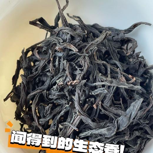 麻粟老枞红茶 商品图1