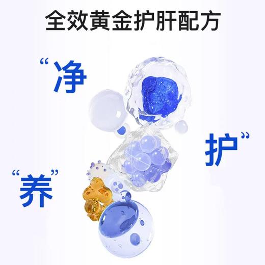 美国原装进口GNITE净肝饮 商品图1