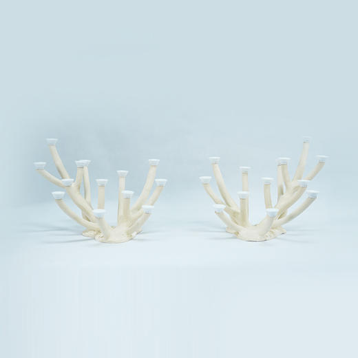 120缸枝状烧制造景 商品图9