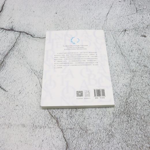 国际舞台 世界担当:国际组织里的中国青年 商品图2