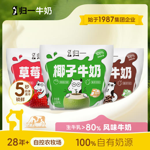 归一甜牛奶220mL可可草莓椰子味80%牛乳营养风味早餐奶 商品图0