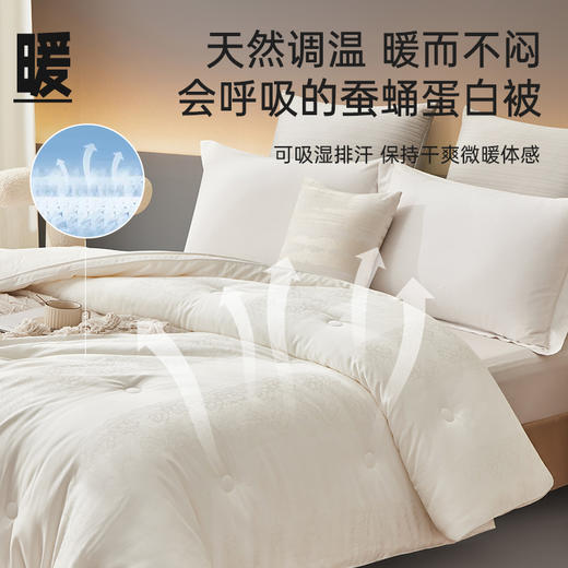 蚕蛹蛋白被 商品图3