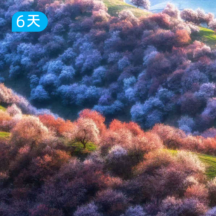 伊犁杏花沟春季限定徒步｜穿越中世纪野杏林 赛里木湖+吐尔根杏花沟轻奢露营 6日