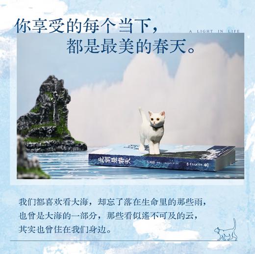 此刻是春天 卢思浩2025重磅新书 沉淀四年后又一长篇力作 卢思浩新书 商品图2