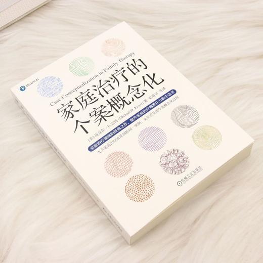 家庭治疗的个案概念化 商品图1