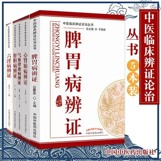 【全套5册】中医临床辨证论治丛书 于致顺 著 脾胃病辩证 气血津液病辨证心肾肺病辨证 六淫病辨证 肝胆病辨证 中国中医药出版社 商品图2