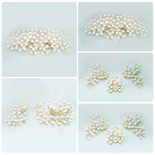 150缸枝状烧制造景 商品图3