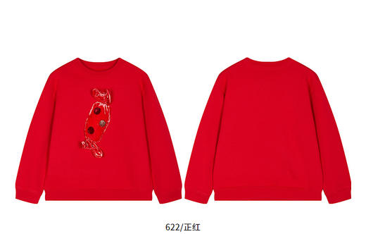 jnby   26年春款  套头卫衣  1Q1411290 商品图10