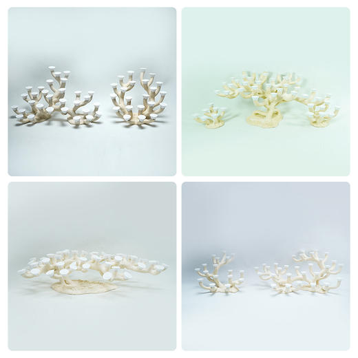 120缸枝状烧制造景 商品图6