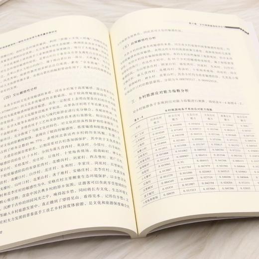 乡村旅游脆弱性--韧性共进治理与高质量发展研究 商品图4