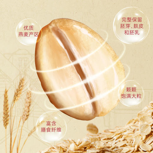 【商城专属】燕之坊有机全粒燕麦片礼盒1.8kg 商品图2