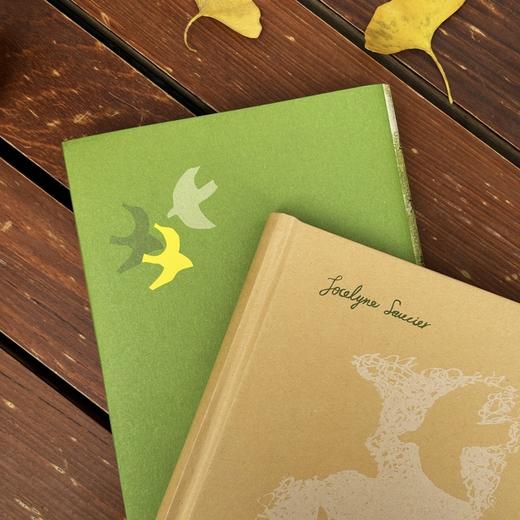 【我们/WoMen书系】鸟儿如雨般落下 商品图2