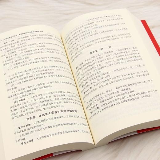 最新刑事诉讼法及司法解释全编:含证据规则:2026年版 商品图4