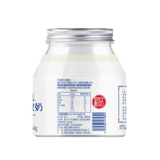 兰格格560g乌日莫奶皮子酸奶 商品图3