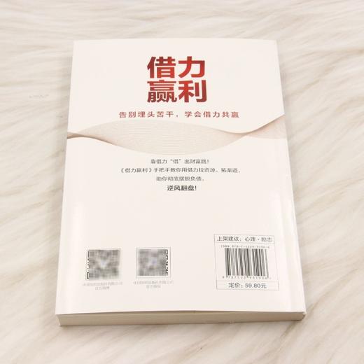 借力赢利 商品图2
