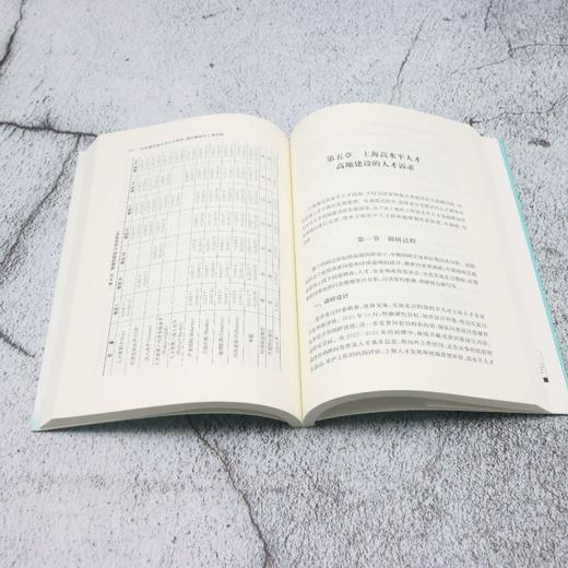 加快建设高水平人才高地:理论基础与上海实践 商品图4