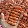 北极甜虾【顺丰发货】 商品缩略图2