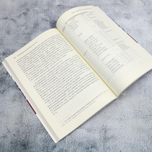 职业教育赋能共同富裕的理论与浙江实践 商品图4