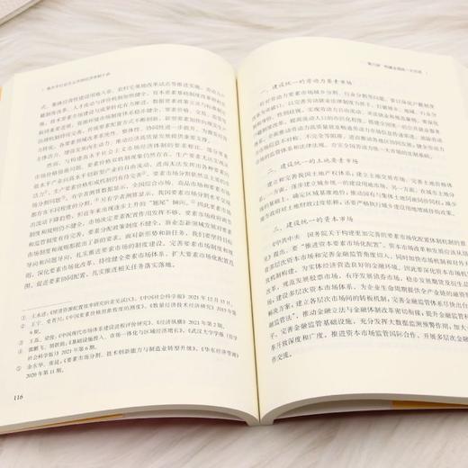 高水平社会主义市场经济体制十讲 商品图4