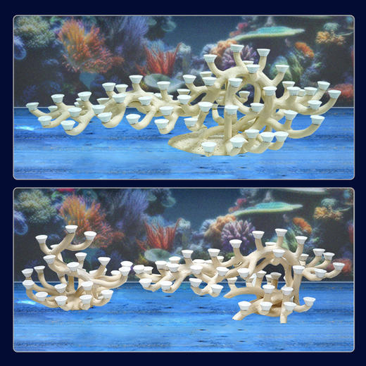 120缸枝状烧制造景 商品图10