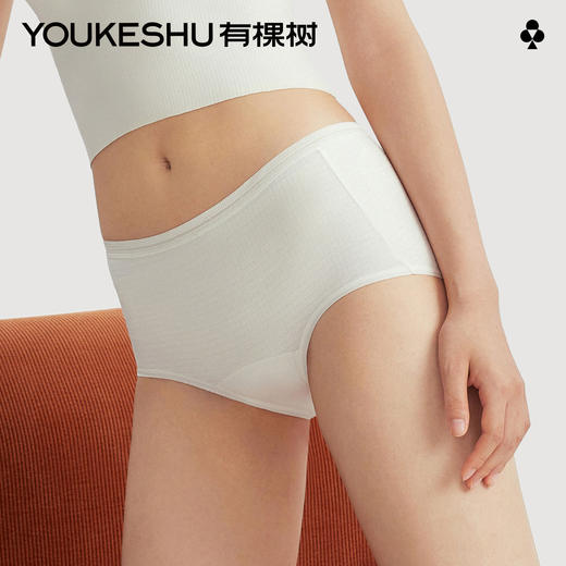 【新品上新】【不染色原棉】有棵树10A抗菌透气纯棉女士三角内裤4条装-U3313 商品图0