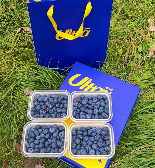 新鲜维度蓝莓｜爆款升级💜 专属高质感蓝莓叉配齐，品质依旧在线，果肉脆甜饱满，#福利价闭眼入，送礼自留都合适✅ 商品图2