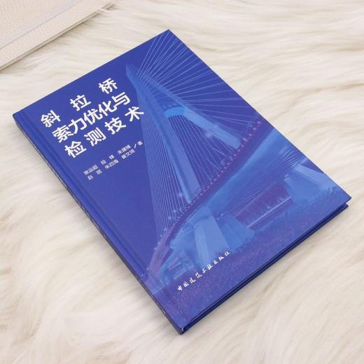 斜拉桥索力优化与检测技术 商品图1