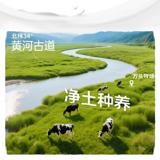 归一纯牛奶200mL*12盒*2箱全脂灭菌100%生牛乳 商品图1