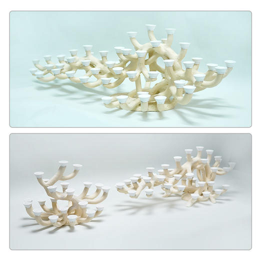 120缸枝状烧制造景 商品图13