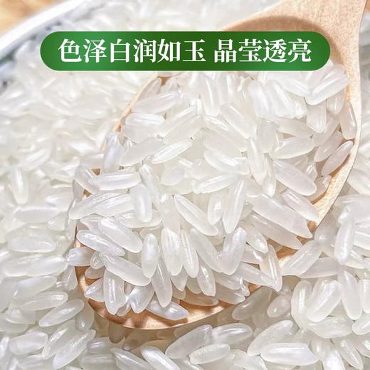 玖成红蓝色高端 纸塑五常大米 商品图3