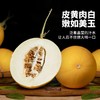 【分销】【原产地直发】海南蜜瓜/豹纹珈狮蜜瓜/冰糖脆梨甜瓜/金美人蜜瓜/倾帝蜜瓜 来自海南核心产区 让甜度与清爽感达到完美平衡 商品缩略图1