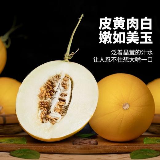 【分销】【原产地直发】海南蜜瓜/豹纹珈狮蜜瓜/冰糖脆梨甜瓜/金美人蜜瓜/倾帝蜜瓜 来自海南核心产区 让甜度与清爽感达到完美平衡 商品图1