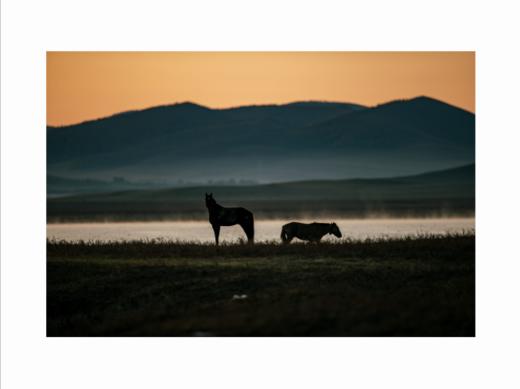 张耕畦丨一马当先 收藏级礼品照片 商品图1