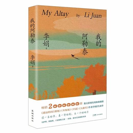 我的阿勒泰 马伊琍 周依然 于适 蒋奇明主演的同名电视剧 新疆风光 李娟阿勒泰畅销代表作 商品图1