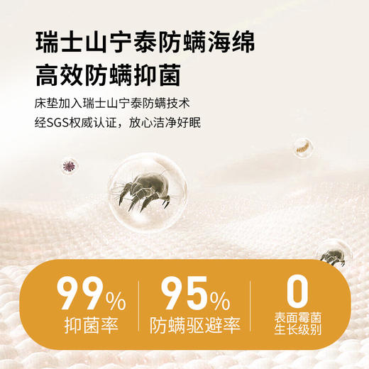 慕思（de RUCCI）床垫【睡眠精灵】乳胶床垫席梦思床垫慕斯床垫1.8*2米弹簧床垫 睡眠精灵-豪华款【软硬适中/25cm】+双层弹簧MCW1-166 商品图4