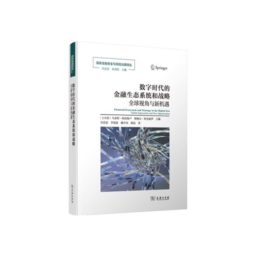 数字时代的金融生态系统和战略(国家金融安全与风险治理译丛) 商品图0