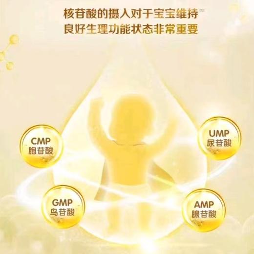 伊利金领冠珍护较大婴儿配方奶粉(6-12个月,2段)800克*6罐 商品图1