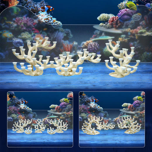 180缸枝状烧制造景 商品图5