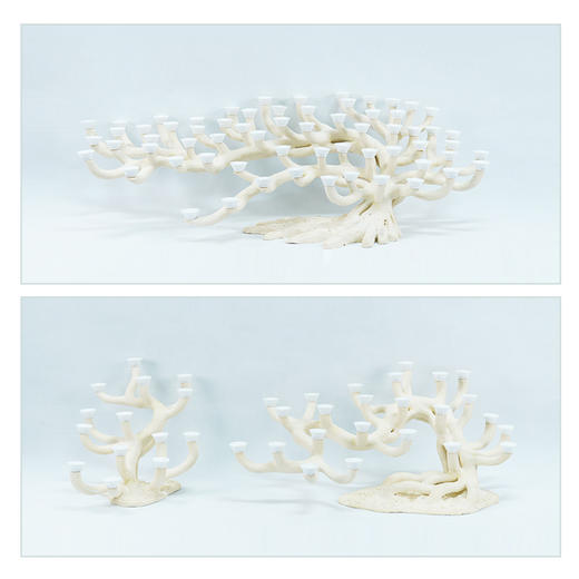 120缸枝状烧制造景 商品图8