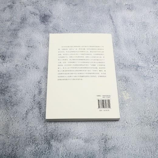 岳县代表:转型期的县域治理 商品图2