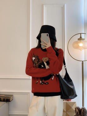 120-3 小马新年红毛衣