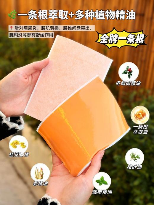 【多妈团购 钦芳堂·金牌一条根 3盒装】贴上冰冰凉凉，快速发热~ 深层渗透直达痛点，关节和肌肉不适都能舒缓，随意裁剪，哪里疼痛贴哪里，持续舒缓6小时-今亿 商品图3
